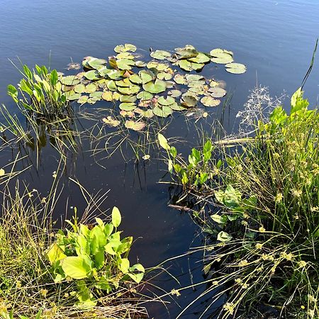Oosterwolde  Landzicht Natuur Rust En Ruimte מראה חיצוני תמונה