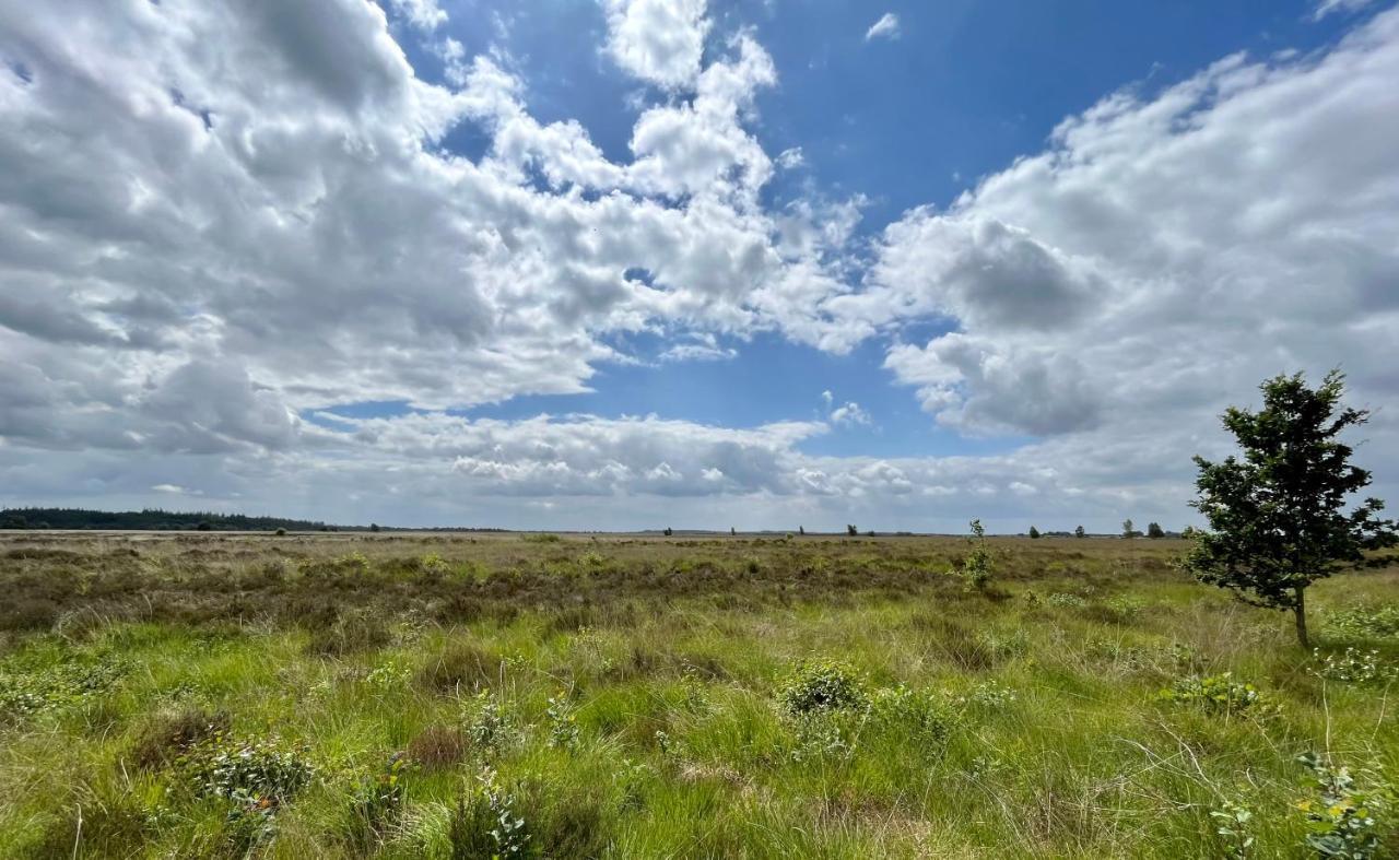 Oosterwolde  Landzicht Natuur Rust En Ruimte מראה חיצוני תמונה