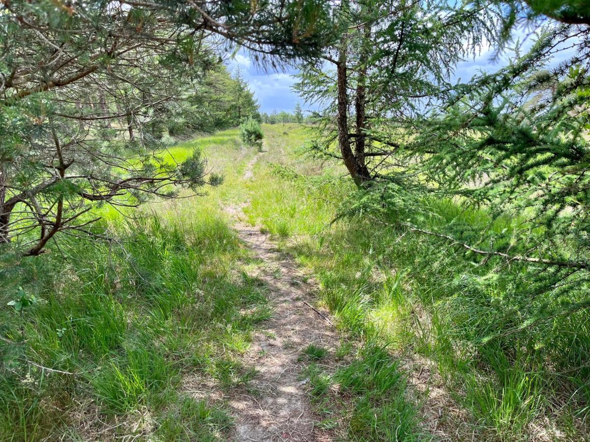 Oosterwolde  Landzicht Natuur Rust En Ruimte מראה חיצוני תמונה