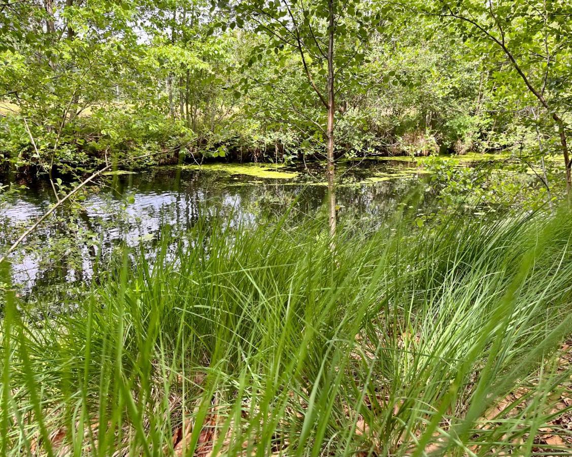 Oosterwolde  Landzicht Natuur Rust En Ruimte מראה חיצוני תמונה