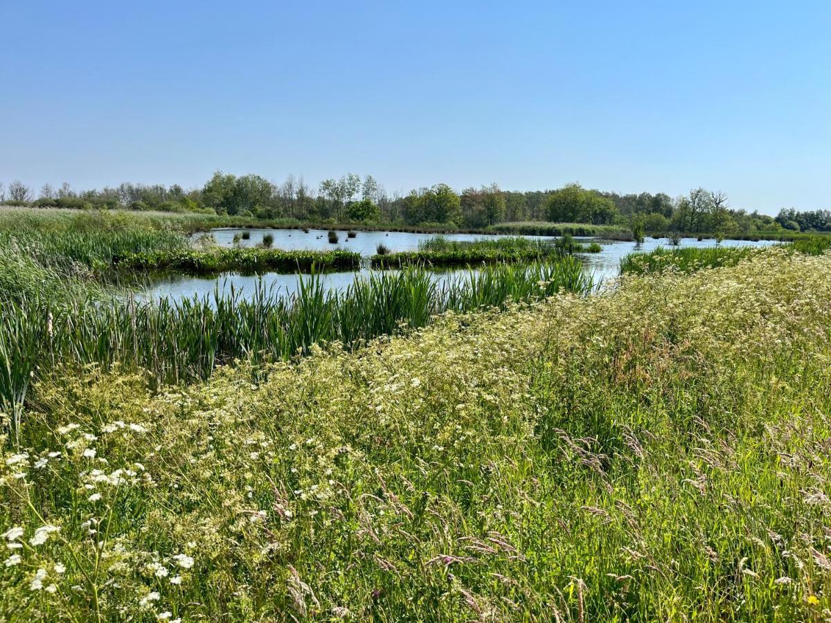 Oosterwolde  Landzicht Natuur Rust En Ruimte מראה חיצוני תמונה