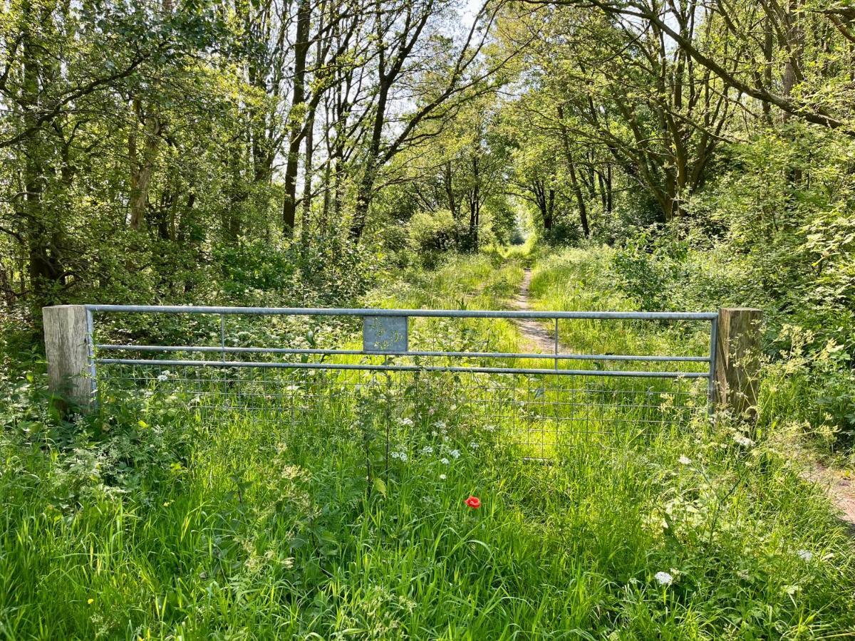 Oosterwolde  Landzicht Natuur Rust En Ruimte מראה חיצוני תמונה