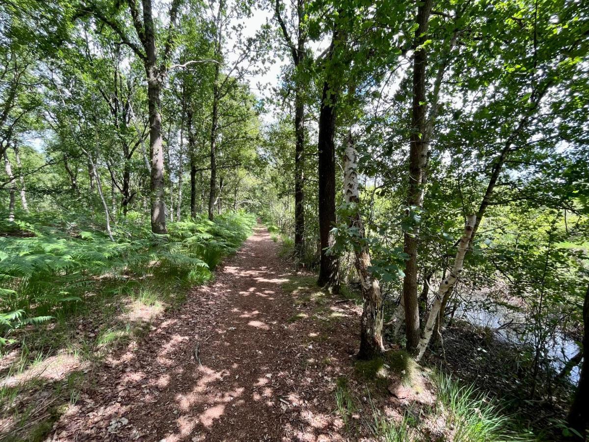 Oosterwolde  Landzicht Natuur Rust En Ruimte מראה חיצוני תמונה