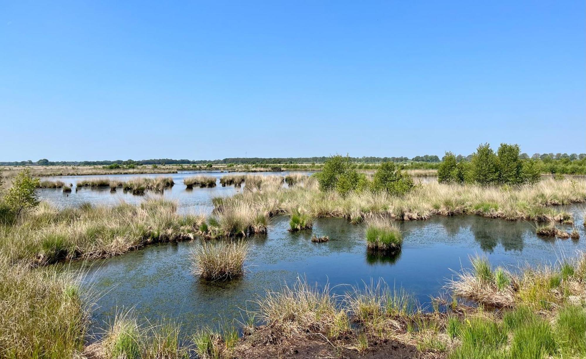 Oosterwolde  Landzicht Natuur Rust En Ruimte מראה חיצוני תמונה