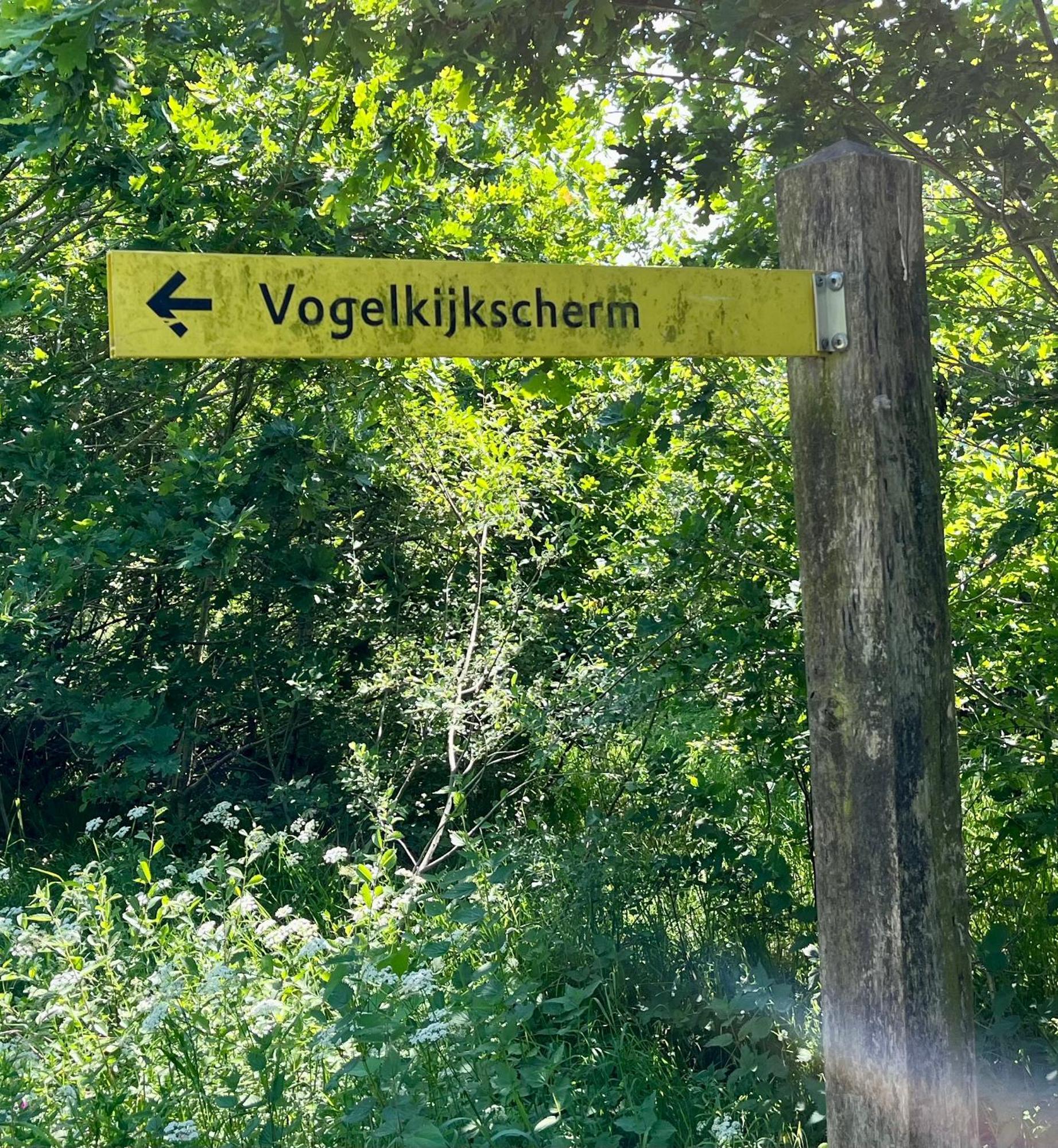 Oosterwolde  Landzicht Natuur Rust En Ruimte מראה חיצוני תמונה