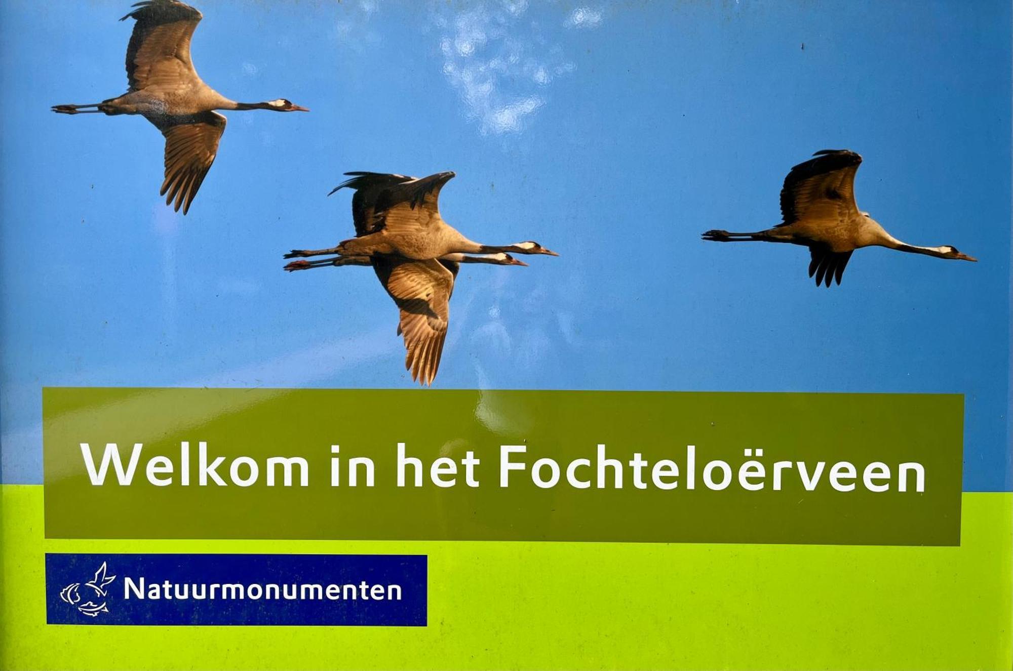 Oosterwolde  Landzicht Natuur Rust En Ruimte מראה חיצוני תמונה
